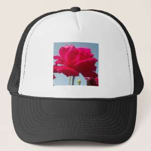 Casquette Belle belle Rose céleste rouge contre bleu