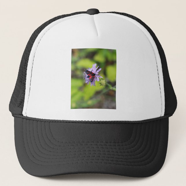 Casquette Belle Moth (Devant)