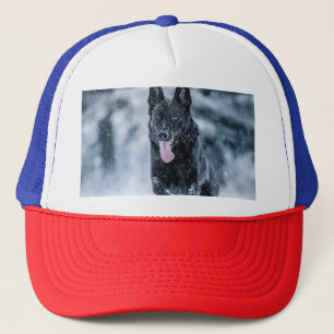 Casquette Berger allemand noir dans la couverture de duvet d