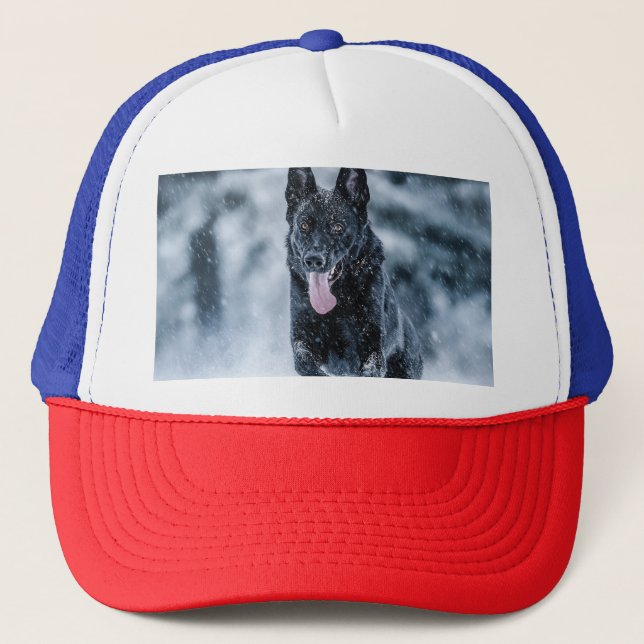 Casquette Berger allemand noir dans la couverture de duvet d (Devant)