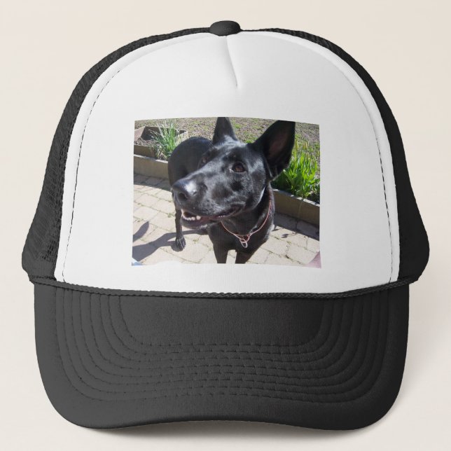 Casquette Berger allemand noir de laque (Devant)