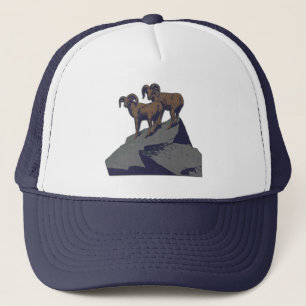 Casquette Bighorn Sheep American West Wildlife