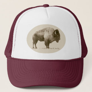 Casquette Bison des plaines