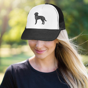 Casquette Black Labrador Retriever Chien Black Lab Dessin