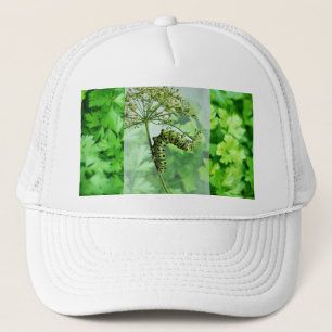Casquette Black Swallowot Caterpillar Manger Parsley