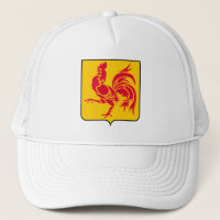 Blason de la Wallonie