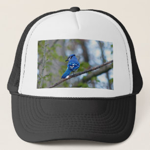 Casquette Blue Jay