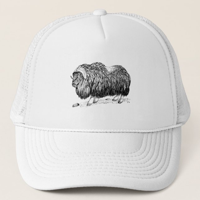 Casquette Boeuf de musc (Devant)