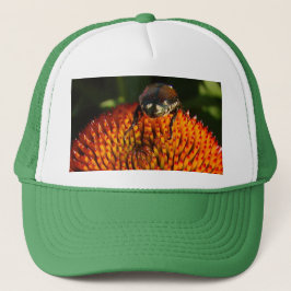 Casquette Bogue sur la fleur