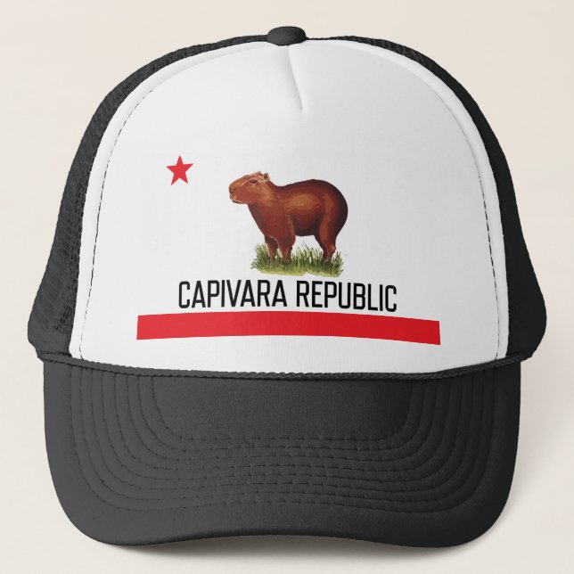 Casquette Bonnet Capivara Republic - NarliStuff (Devant)