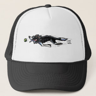 Casquette Border collie dans l'action