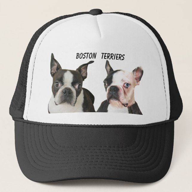CASQUETTE BOSTON TERRIER-CASQUETTE (Devant)