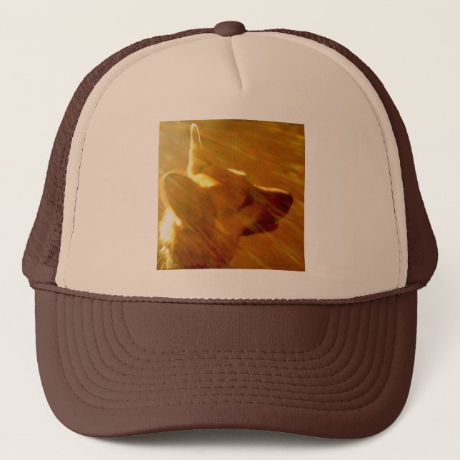 Casquette Brille Sur Moi Berger Allemand Noir & Tan (Devant)