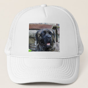 Casquette broche grise de canne corso