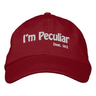 Casquette Brodée Je suis une Personnaliser particulière