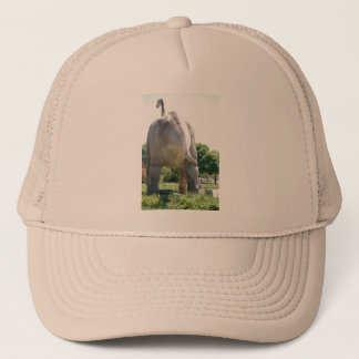 Casquette Brontosaurus dinosaure