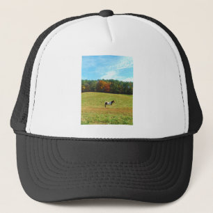 Casquette Brown & cheval blanc, arbres d'automne, ciel bleu
