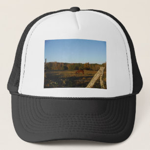 Casquette Brown horse in the Sun