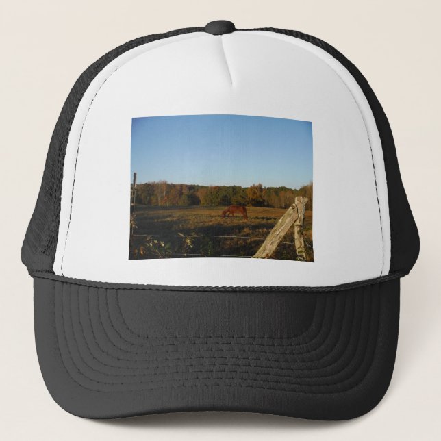 Casquette Brown horse in the Sun (Devant)