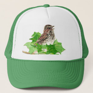 Casquette Bruant, Oiseau mignon, Oiseau, Oiseau, Nature