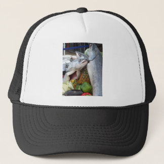 Casquette Buffet saumoné d'Alaska