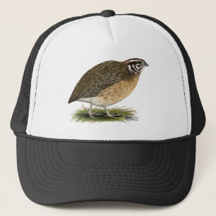 Casquette Cailles de pharaon de Coturnix