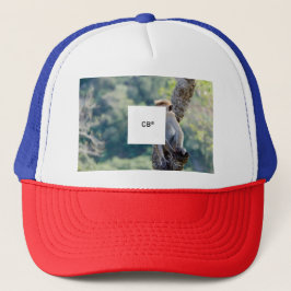Casquette camiseta monkey 