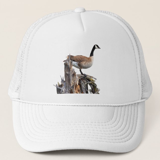CASQUETTE CANADA GOOSE (Devant)