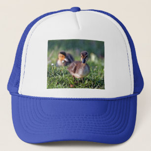 Casquette Canard