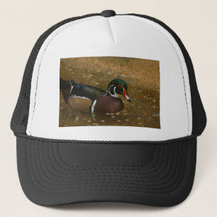 Casquette Canard à bois mâle