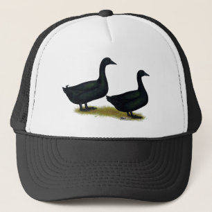 Casquette Canards : Cayugas noirs