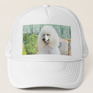 Casquette Caniche blanc standard