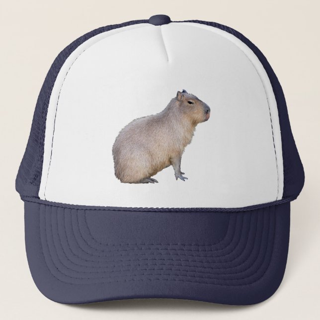 Casquette Capybara (Devant)