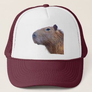 Casquette Capybara