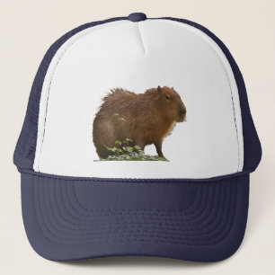 Casquette Capybara