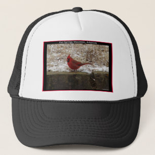 Casquette Cardinal Hot Springs Nat. Cadeaux AR Park Mountain