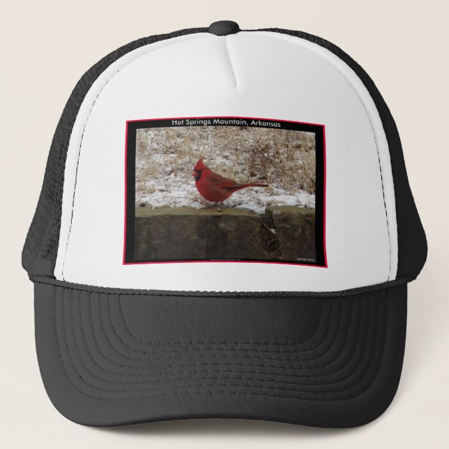 Casquette Cardinal Hot Springs Nat. Cadeaux AR Park Mountain (Devant)