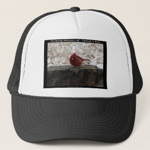Casquette Cardinal Hot Springs Nat. Park Mt AR Cadeaux Vêtem
