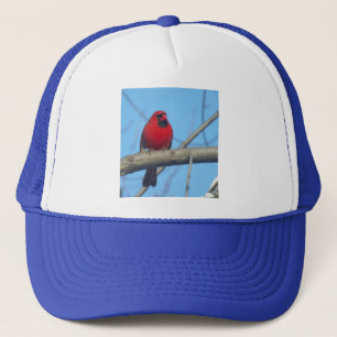 Casquette Cardinal Rouge/Oiseau