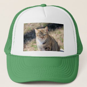 Casquette Cat