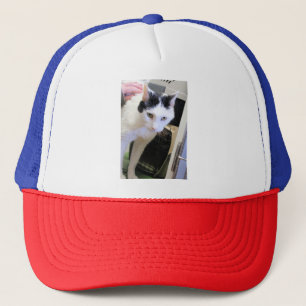 Casquette Cat