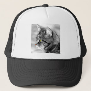Casquette Cat Animaux Animaux Animaux Portrait Fourrure Swee