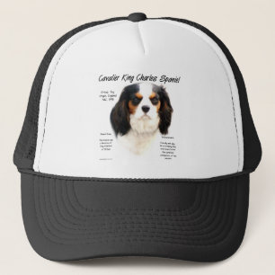 Casquette Cavalier King Charles Spaniel (tricolore) Histoire