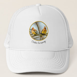 Casquette Cèdre - Photographie originale