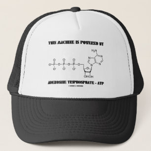 Casquette Cette machine est actionnée par l'adénosine