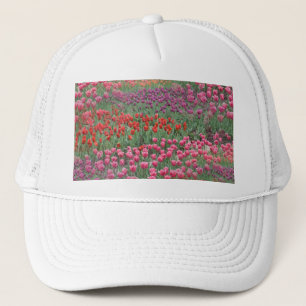 Casquette Champ De Tulipes