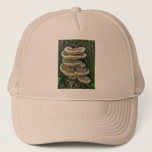 Casquette Champignons de plateau sur souche