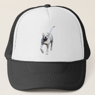 Casquette Championnat d'Amérique de football