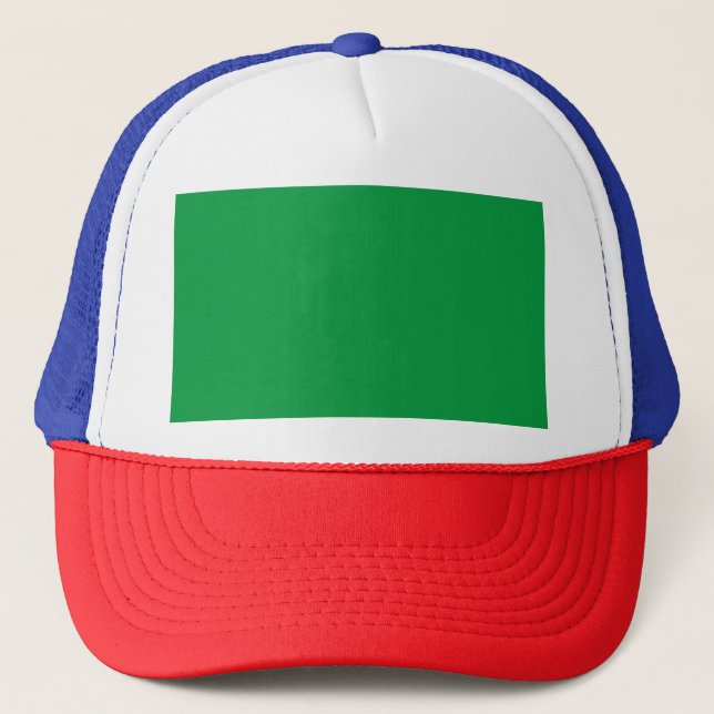 Casquette Chapeau de camion (Devant)