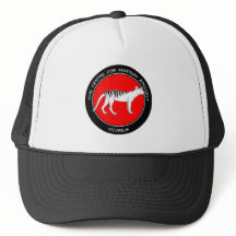 Chapeau de camion CFZ
